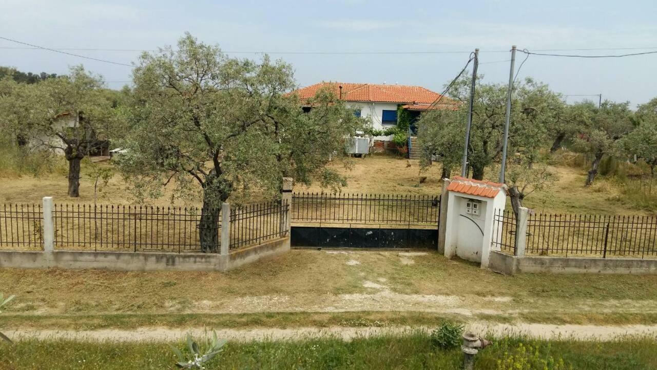 Vlachogiannis El Estate Apartment Skala Rachoni  Exterior photo